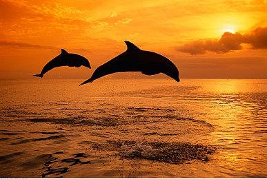 《战地6》所有派系皮肤泄露 严肃军事风格获称赞